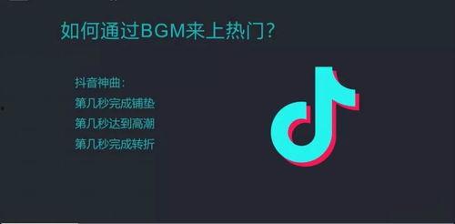 抖音新人最新爆料